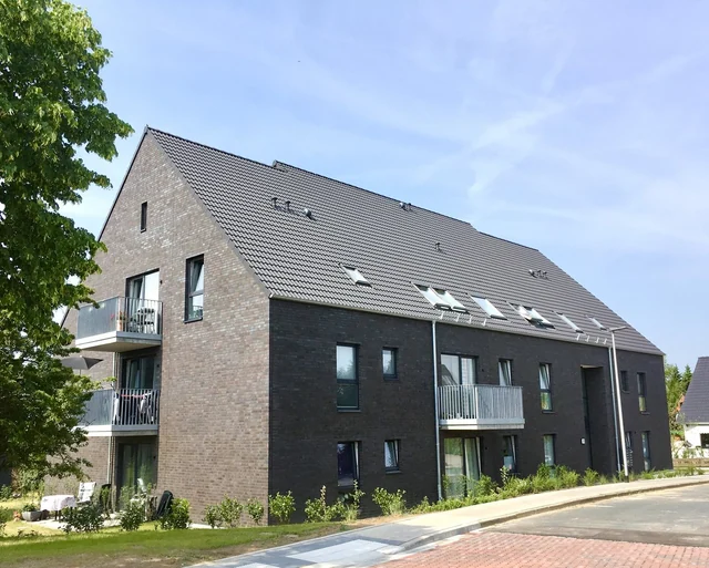 MÖLLN (2018)
